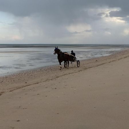 Gites "Plage" Ou "Pieds Dans L'Eau" En Front De Mer A Asnelles , 3Km D'Arromanches, 10Km De Bayeux מראה חיצוני תמונה
