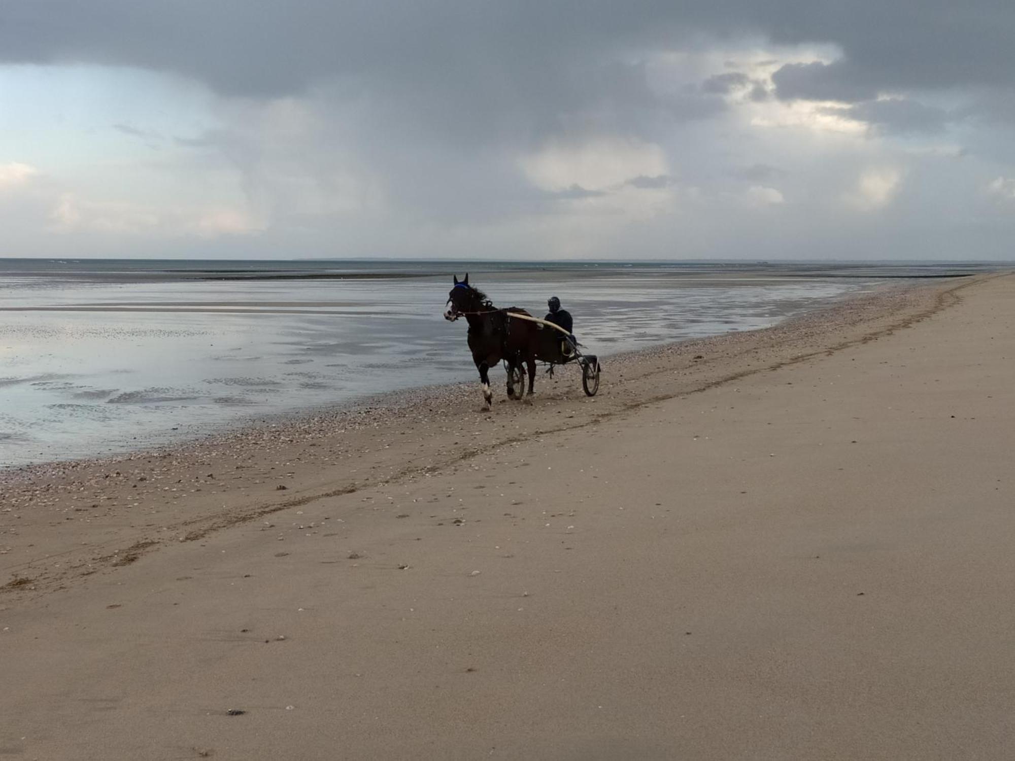 Gites "Plage" Ou "Pieds Dans L'Eau" En Front De Mer A Asnelles , 3Km D'Arromanches, 10Km De Bayeux מראה חיצוני תמונה